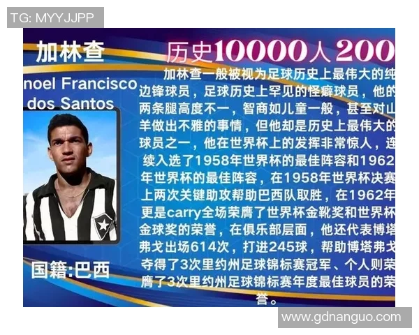 最近30年足球明星的辉煌历程与影响力分析