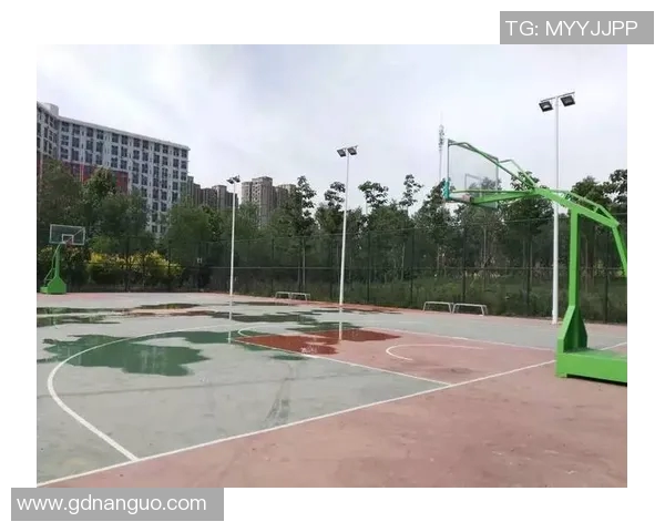 丹凤篮球明星的崛起与成就揭秘以及对未来的展望与影响